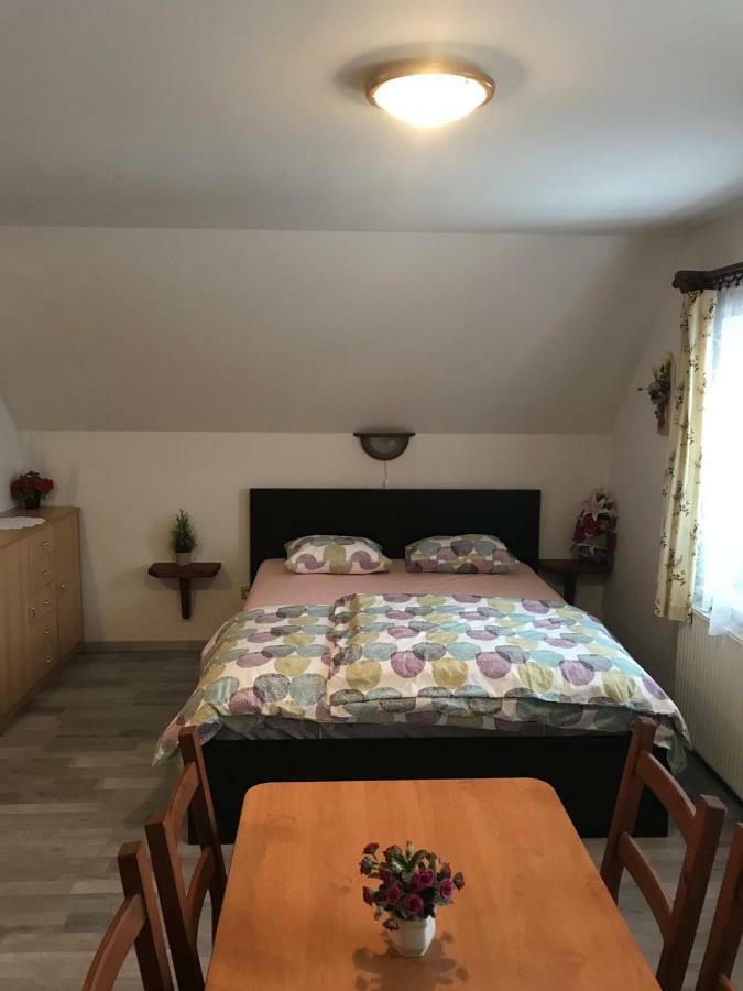 Apartament Mape, Rokytnice Nad Jizerou, Horni 679, 512 44 *